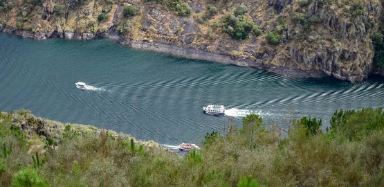 Catamaranes en Ribeira Sacra