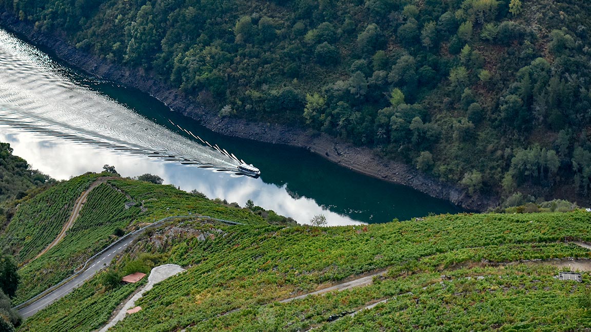 Catamaranes por el Río Sil