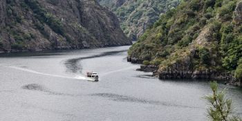 Navegación en Catamarán por el Sil